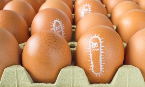 Salmonella bacterium drawn on eggs